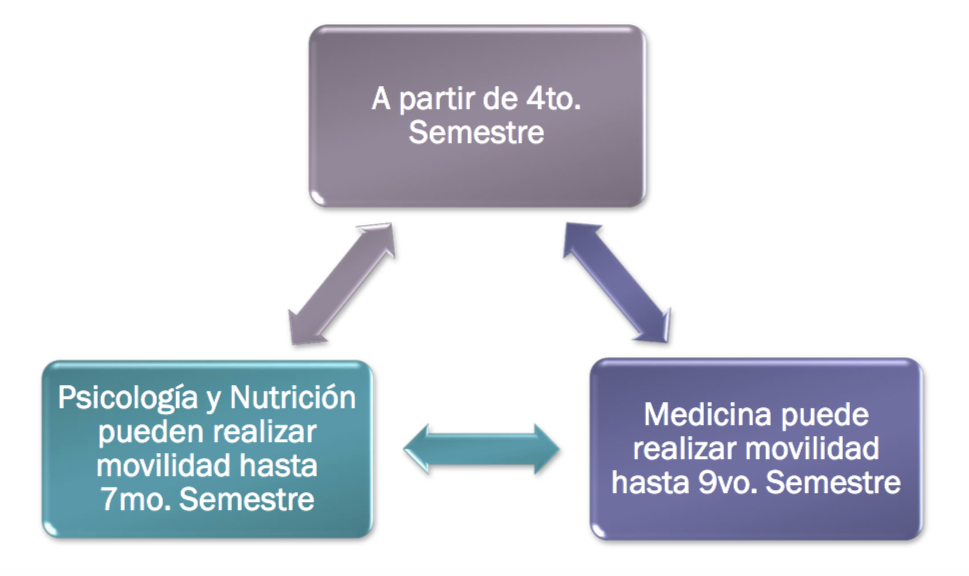 Reglamento de Movilidad