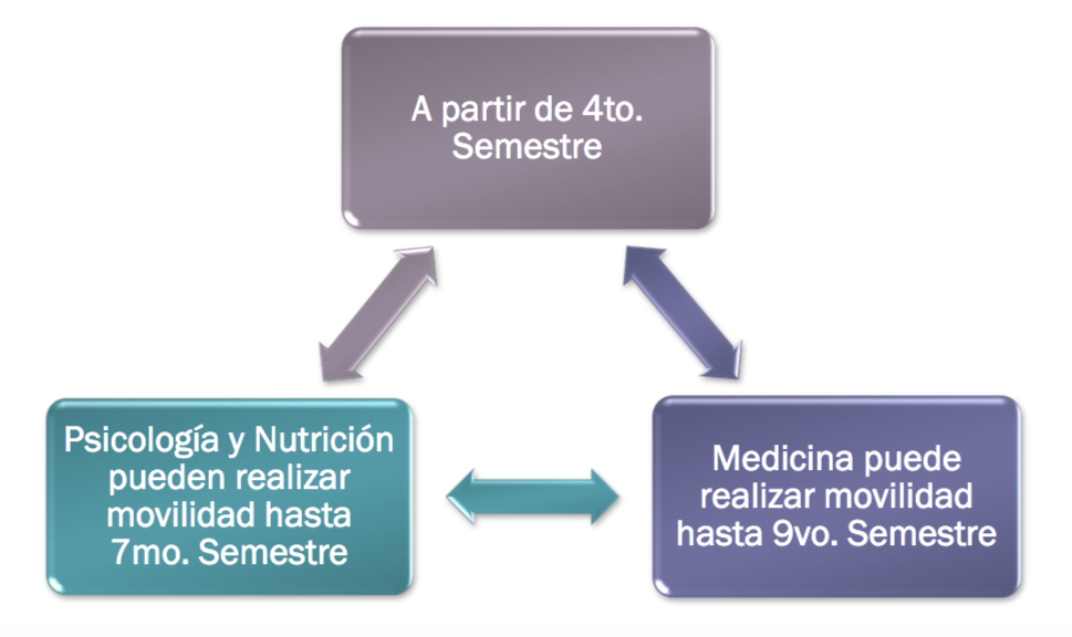 Reglamento de Movilidad